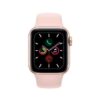 Apple Watch Series 5,Apple Watch Series 5 44mm